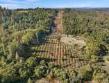 2700 Dancing Oaks Road - Photo 11