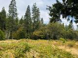 2700 Dancing Oaks Road - Photo 4