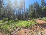 12181 Robust Way - Photo 1