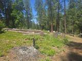 12181 Robust Way - Photo 2
