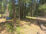 12181 Robust Way - Photo 3