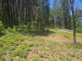 12181 Robust Way - Photo 4
