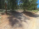 12181 Robust Way - Photo 5
