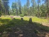 12181 Robust Way - Photo 7