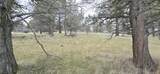 730 Grouse Way - Photo 10