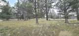 730 Grouse Way - Photo 6