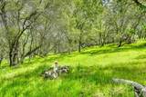 21074 Via Mediterrane - Photo 12