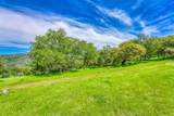 21074 Via Mediterrane - Photo 4