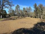 4600 Summer Creek Court - Photo 15