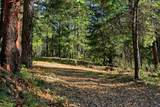 0 Kentucky Flat Road - Photo 24