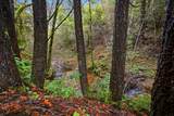 0 Kentucky Flat Road - Photo 27
