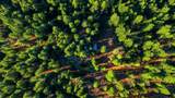 0 Kentucky Flat Road - Photo 41