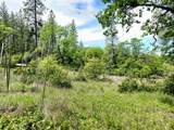 0 Elams Ranch Road - Photo 22