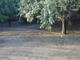 18401 Davis Road - Photo 10