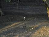 18401 Davis Road - Photo 8
