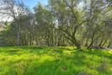 3900 Cold Stream Road - Photo 31