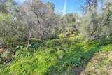 3900 Cold Stream Road - Photo 39