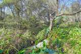 3900 Cold Stream Road - Photo 41