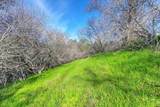 3900 Cold Stream Road - Photo 49