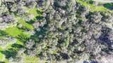 3900 Cold Stream Road - Photo 53