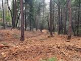5861 Bear Creek Rd - Photo 12
