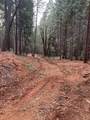 5861 Bear Creek Rd - Photo 15