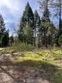 5861 Bear Creek Rd - Photo 19