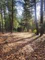 5861 Bear Creek Rd - Photo 3