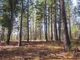 5861 Bear Creek Rd - Photo 4