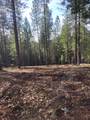5861 Bear Creek Rd - Photo 9