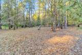 4610 Tracy Lane - Photo 51