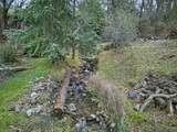 3930 Cedar Ravine Road - Photo 35