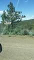 0 Clarks Valley Road - Photo 2