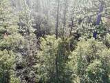 22600 Fiddletown Road - Photo 41