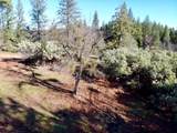 22600 Fiddletown Road - Photo 42