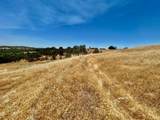 0 Daly Avenue - Photo 13