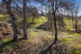 13695 Barro Court - Photo 44