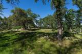 10865 Sunset Drive - Photo 13