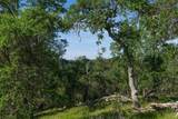 10991 Sunset Drive - Photo 21