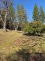 6271 Arch Lane - Photo 10