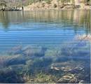 0 Broken Springs - Photo 6