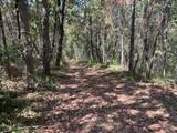 0 Broken Springs - Photo 6