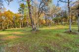 10746 Ponderosa Way - Photo 12