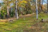 10746 Ponderosa Way - Photo 14