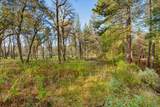 10746 Ponderosa Way - Photo 19