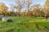 10746 Ponderosa Way - Photo 3