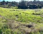 3706 Mccann Drive - Photo 15
