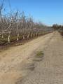 875 Geer Road - Photo 31