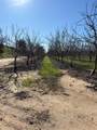 875 Geer Road - Photo 34