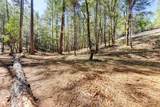 2000 Ponderosa Way - Photo 11